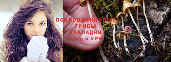 альфа пвп Семикаракорск