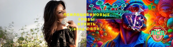 прущая мука Кинешма