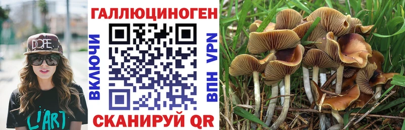 Галлюциногенные грибы ЛСД  Северо-Курильск 